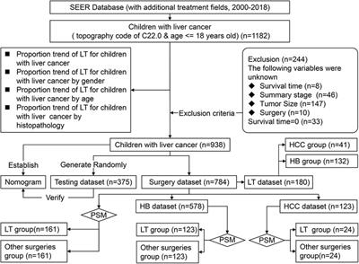 Competitive risk analysis of the therapeutic value of liver transplantation for liver cancer in children: A population-based study